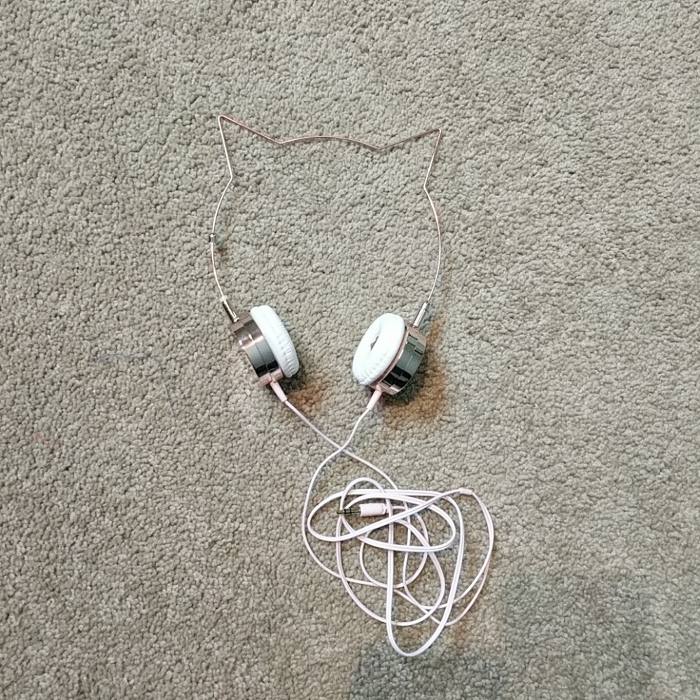 Cat headphones.